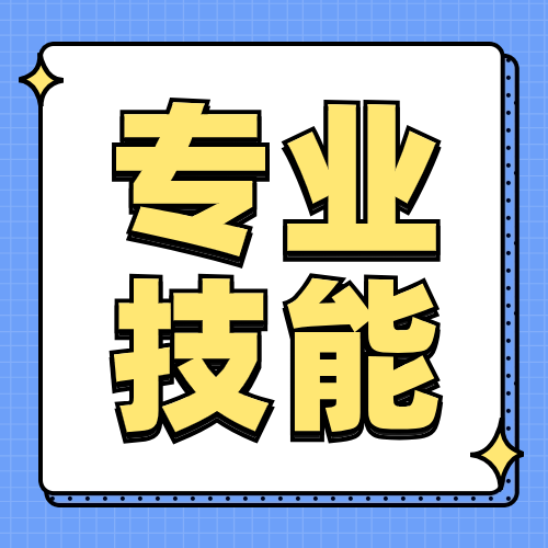 专业技能