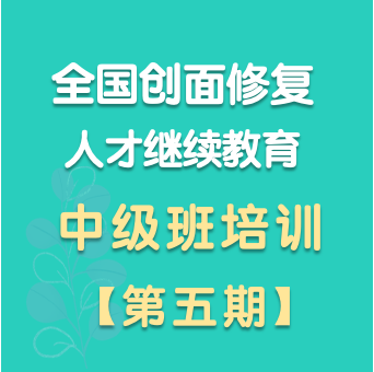 中级班五期(202410)