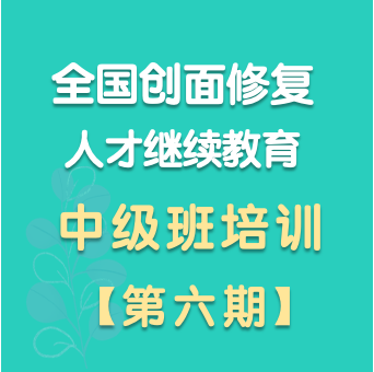 中级班六期(202505)
