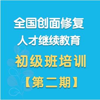 初级班二期(202504)